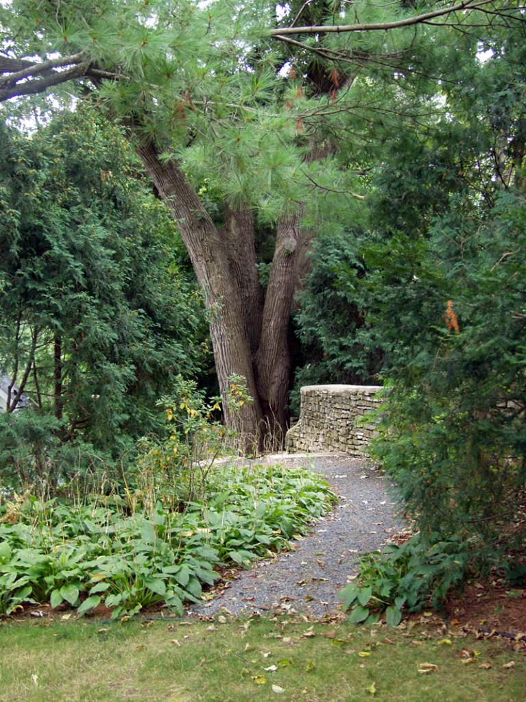 Charles Seha Professional Landscape Designer in Rochester, Minnesota -  Home exterior stone steps and walkways