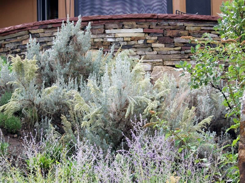 Charles Seha Professional Landscape Designer in Rochester, Minnesota -  Plants, gardens, horticulture for Homes and Businesses