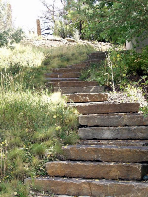 Charles Seha Professional Landscape Designer in Rochester, Minnesota -  Home exterior stone steps and walkways